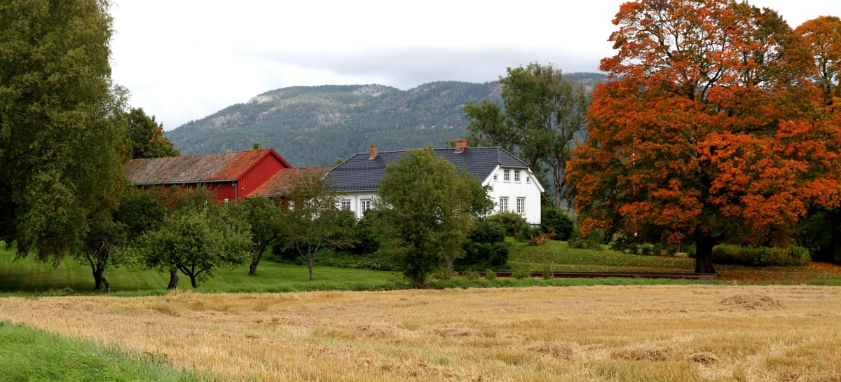 Våningshuset og den røde låven på Venstøp om høsten
